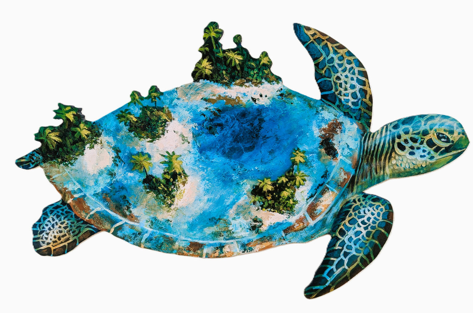 Ocean turtle